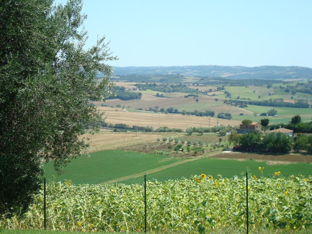 Podere Fontegallo Aparthotel Castiglione del Lago Exterior photo