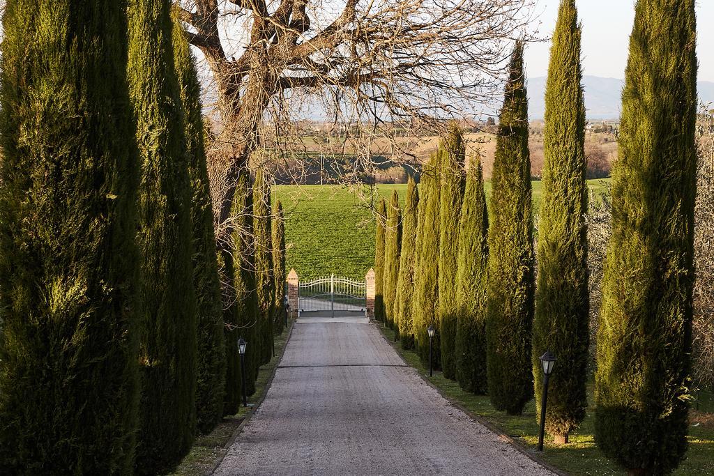 Podere Fontegallo Aparthotel Castiglione del Lago Exterior photo