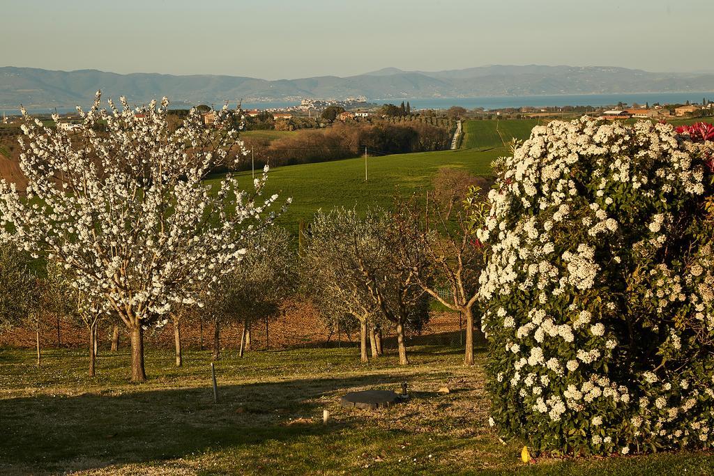 Podere Fontegallo Castiglione del Lago Exterior photo